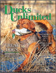Ducks Unlimited Magazine Calls Horicon Marsh   ‘Favorite’ In May/June Feature