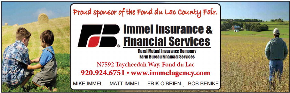 Immel Insurance &  Financial Services