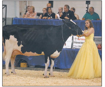 Little Britches, Beefers, Squealers, Lamb  Chops And Kids Show Competition