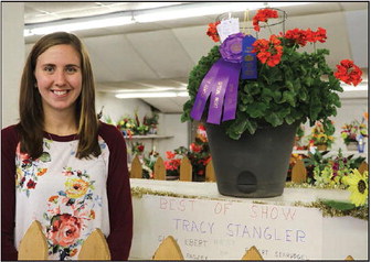 Mayville Woman Takes ‘Best Of Show – Flowers Overall’ At Dodge County Fair