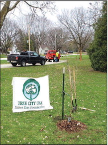 Happy Arbor Day From The City Of Horicon