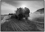 Tractor Tips: Tractor And Loader Safety