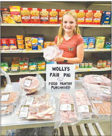 4-H Girl Gives Back at the Pantry