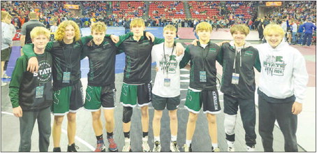Four Indians Medal at the Individual  State Wrestling Tournament