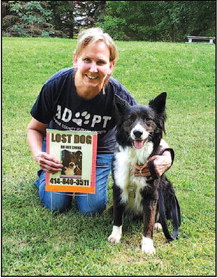 Dog About Dodge, A Collie’s  Incredible 91-Day Journey