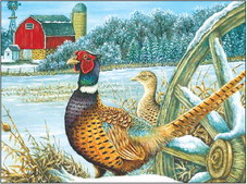 DNR Now Accepting Artwork Entries for 2022 Wild Turkey, Pheasant and Waterfowl   Stamp Design Contests