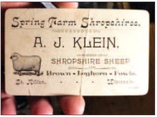 Shropshires & St. Kilian