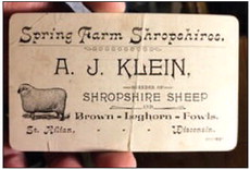 Shropshires &  St. Kilian
